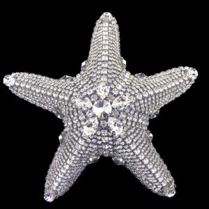 Crystallized Natural Starfish
